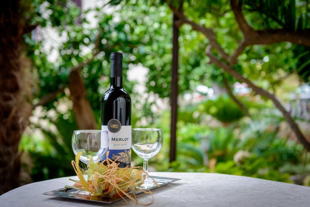 Leilighet Garden Cavtat