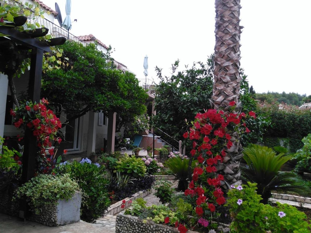 Garden *